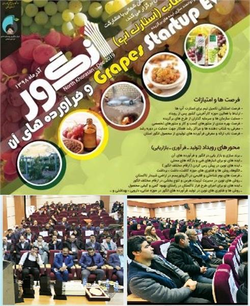 رویداد کشوری استارتاپ انگور در خراسان شمالی برگزار شد
