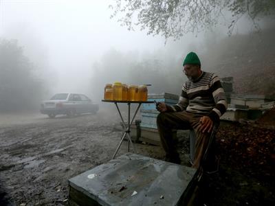 الهام سابقی