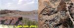 اتصال روستای حمید شهرستان بجنورد به شبکه ملی اطلاعات